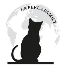 Horario de apertura Cat café, A Coruña