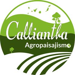 Horario de apertura Calliantha, Saucillo