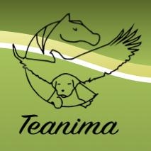 Horario de apertura Asociación TEANIMA, Alcorcón