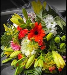 Horario de apertura Flores Antonia, Burjassot