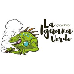 Horario de apertura La Iguana Verde, Cuenca