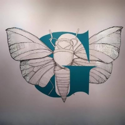 Goloka Creadores de Imagen en Zaragoza (Casco Antiguo) - Horario de apertura