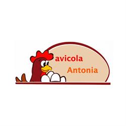 Horario de apertura Avícola Antonia, La Pueblanueva