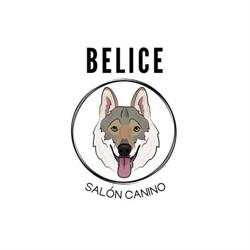 Horario de apertura Belice Salón Canino, Langreo