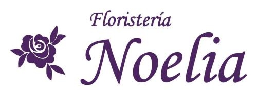 Horario de apertura Floristería Noelia, Abegondo