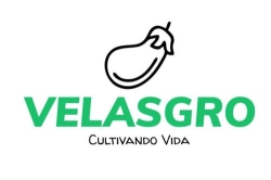 Horario de apertura Velasgro, El Solanillo