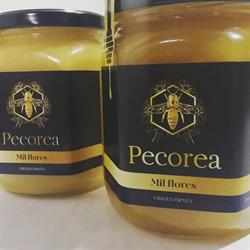 Horario de apertura Pecorea Miel El Pedregal, San Pedro de Latarce