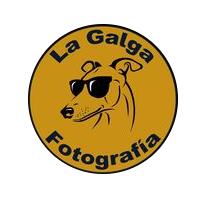 Horario de apertura La Galga Fotografía, Cartagena