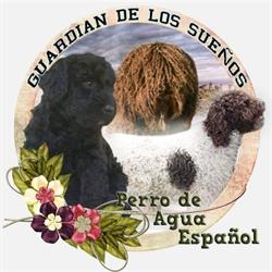 Guardián De Los Sueños en Cáceres (Norte) - Horario de apertura