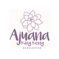 Horario de apertura AJUANA KINGKONG SUCULENTAS, Torremolinos
