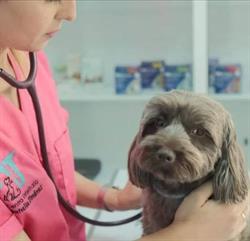 Centro Veterinario Natalia Jiménez en Cáceres (Sur) - Horario de apertura