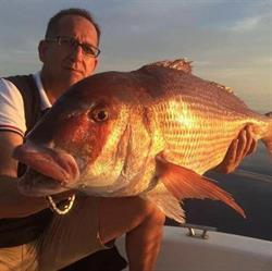 Horario de apertura D Pesca Deportiva, Almería