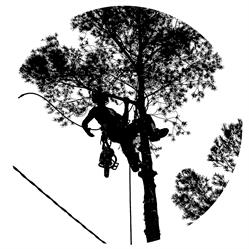 Horario de apertura Arboricultura Pere Tella, Reus