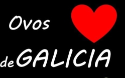 Horario de apertura Ovos Corazón de Galicia, Merlán