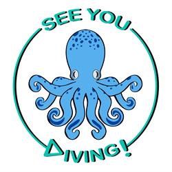 Horario de apertura Internship Seeyoudiving, Arona