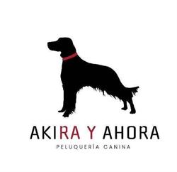Akira y Ahora peluquería canina en Gijón (Oeste) - Horario de apertura