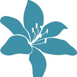 Horario de apertura Restaurante Lilium Arrecife, 