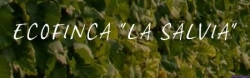 Horario de apertura Ecofinca La Salvia, Temisas