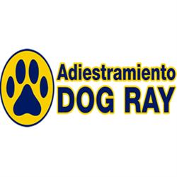 Horario de apertura Adiestramiento Canino Dog Ray, Algorta