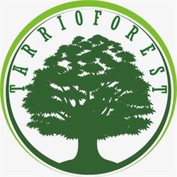 Tarrioforest en A Estrada (Trasmonte) - Horario de apertura