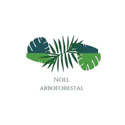 Horario de apertura Jardinería poda y tala Noel campaña contra incendios, Zaragoza
