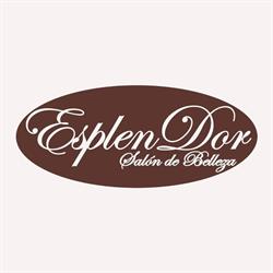Horario de apertura Esplendor, Tui
