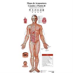 Horario de apertura Masaje. Osteopatia. Acupuntura., Fano