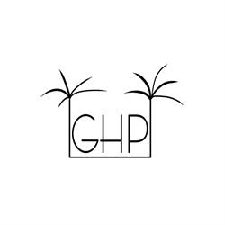 Horario de apertura Guesthouse Palma, 