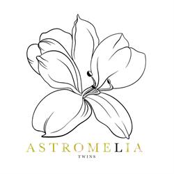 Horario de apertura Astromelia twins, Valdepeñas
