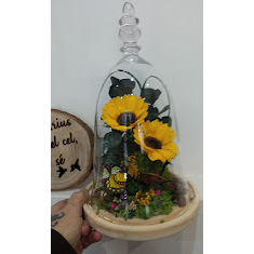 Horario de apertura Floristeria Pretele, Igualada