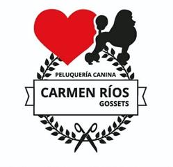Horario de apertura Carmen Rios Peluqueria Canina y felina, Ibi