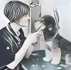 Horario de apertura Peluquería canina Centro Médico Veterinario San Lorenzo, Segovia