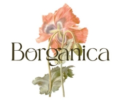 Horario de apertura BORGANICA, Bilbao