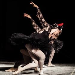 Horario de apertura Escuela de Danza Studio 30, Alicante