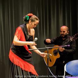 Horario de apertura andrea amado academia de baile, Pola de Lena