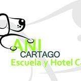 Horario de apertura Anicartago, Las Palas