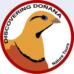 Horario de apertura Discovering Doñana, El Rocío