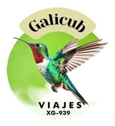 Horario de apertura Viajes Galicub, Ourense