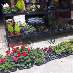 Horario de apertura Bazar Sofia, Selaya
