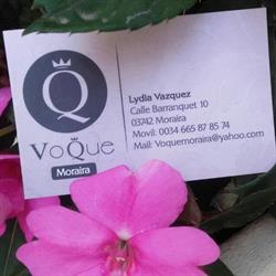 Horario de apertura Voque Moraira, 