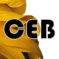 Horario de apertura CEB by Pilar Cuñado - Centro de estética y bronceado, Sant Celoni