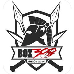 Horario de apertura Box 300 Entrenamiento Integral, Los Palacios y Villafranca