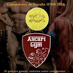 Horario de apertura Ascari Gym, Tafalla