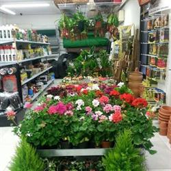 Horario de apertura Jardinería Ferretería Agricentro Los Naranjos, Barbate