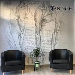 Horario de apertura ANDROS Clínica de Fisioterapia, NICA 67050, Alhaurín de la Torre