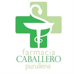 Horario de apertura Farmacia Caballero Purullena,