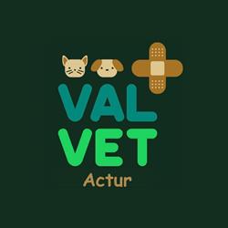 Clínica Veterinaria Valvet Actur en Zaragoza (Actur-Rey Fernando) - Horario de apertura