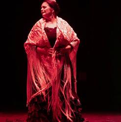 ESTUDIO DE BAILE FLAMENCO PILAR SOTO en Málaga (Bailén-Miraflores) - Horario de apertura