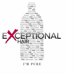 Horario de apertura Exceptional Hair, Vilanova i la Geltrú
