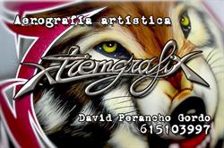 Horario de apertura Chameleon Tattoo - Xtremgrafix, Plasencia